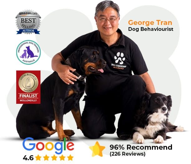 George Tran, Dog Behaviourist — Amazon Bestselling Author, 96% recommend